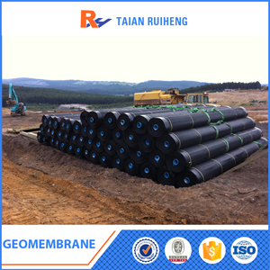 GEOMEMBRANE PROJECT