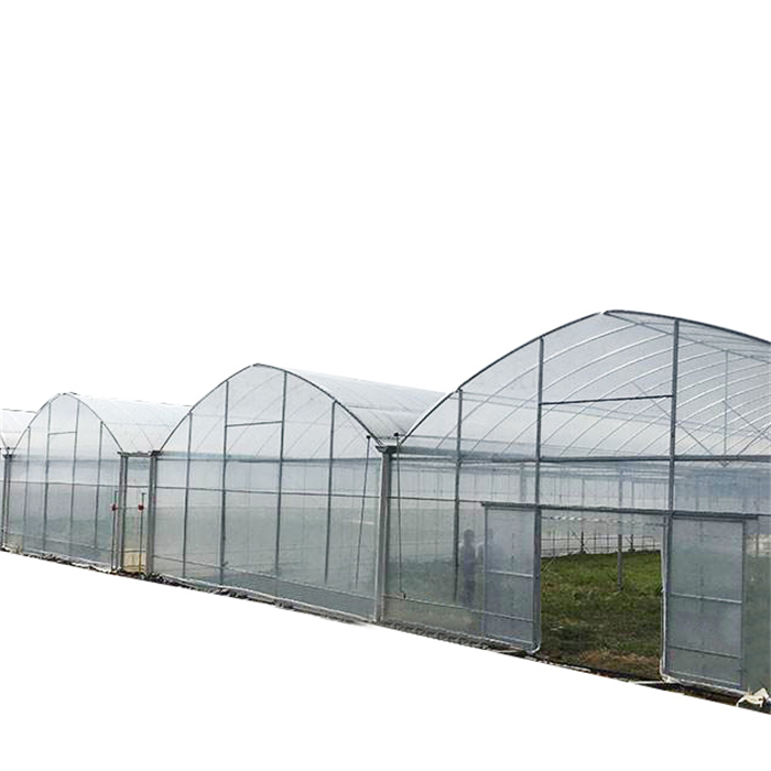 Greenhouse film