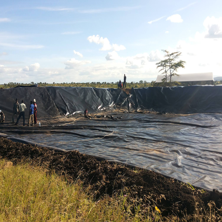 HDPE Geomembrane Pond Liner