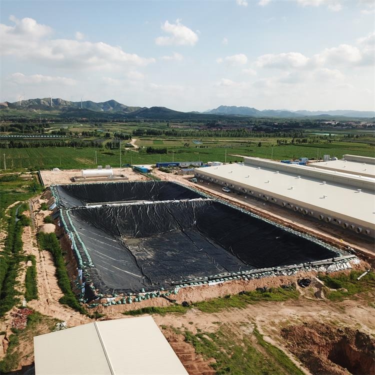 Geomembranes209.jpg Geomembranes209.jpg