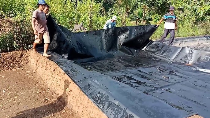 Geomembranes239.jpg Geomembranes239.jpg